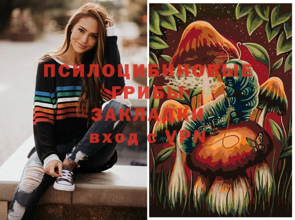 крисы Осинники